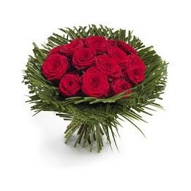 Nid d'amour