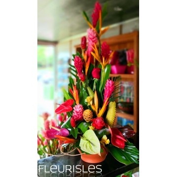 https://www.fleurisles.com/180-thickbox/tropical-beauty.jpg