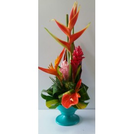 Colibri